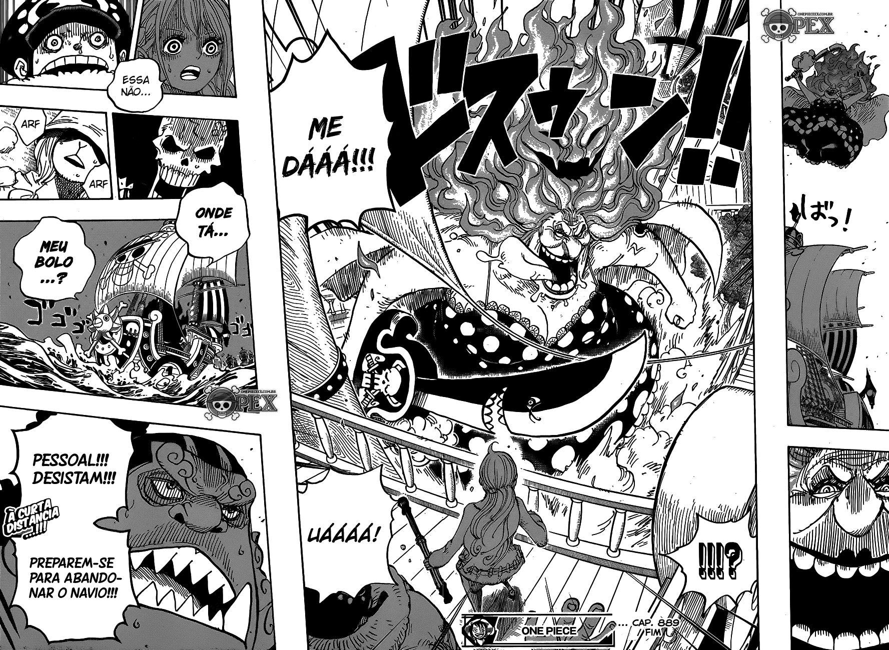 One Piece capítulo 889 página 17