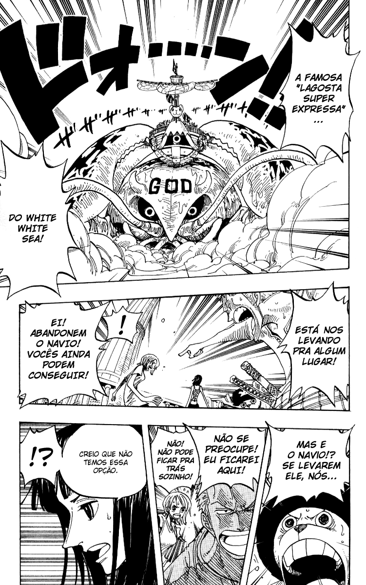 One Piece capítulo 243 página 11