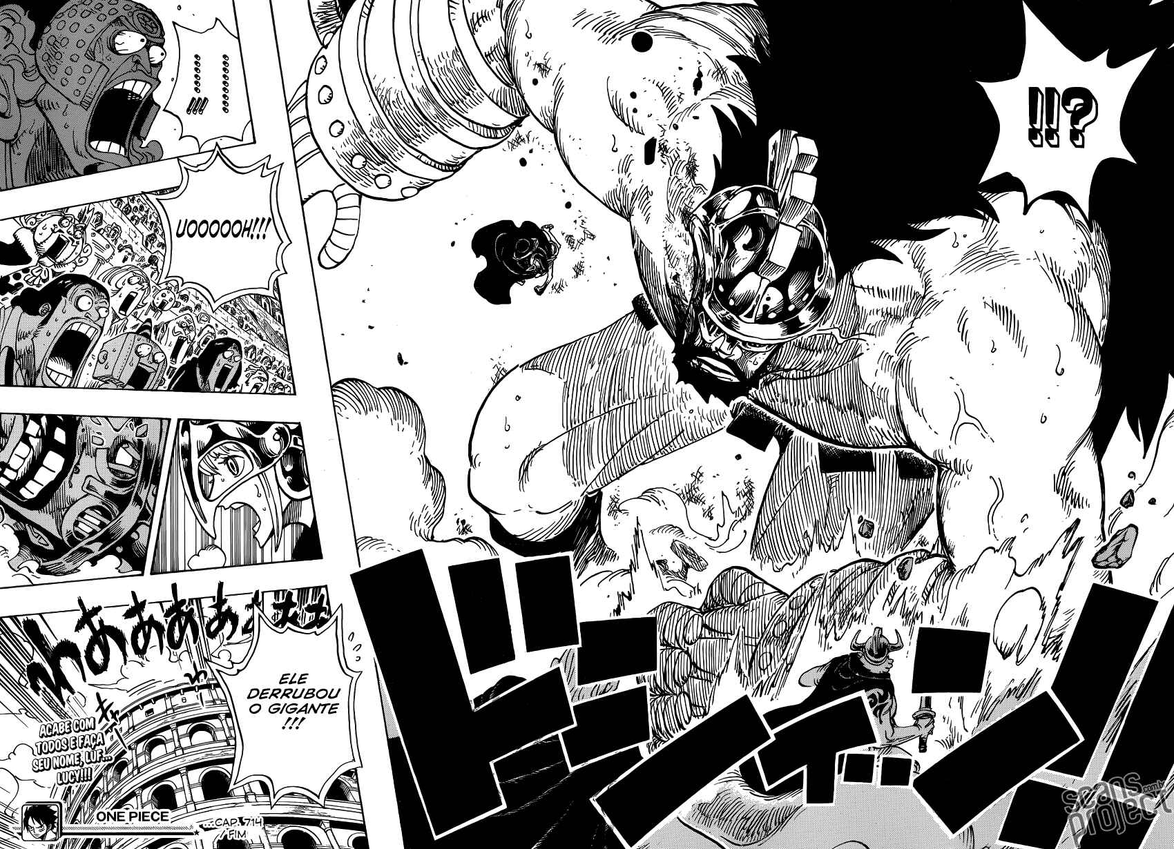 One Piece capítulo 714 página 19