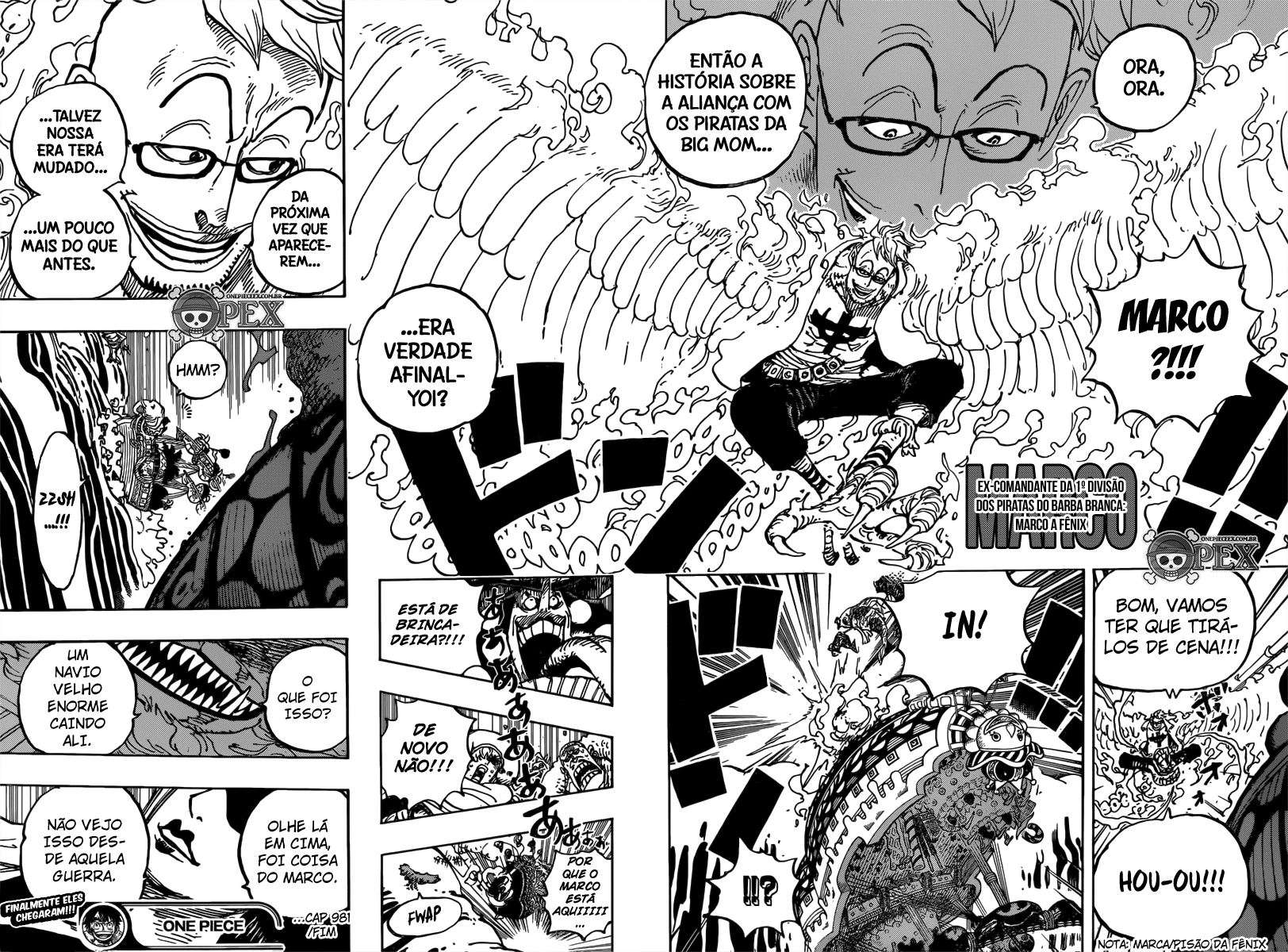 One Piece capítulo 981 página 18