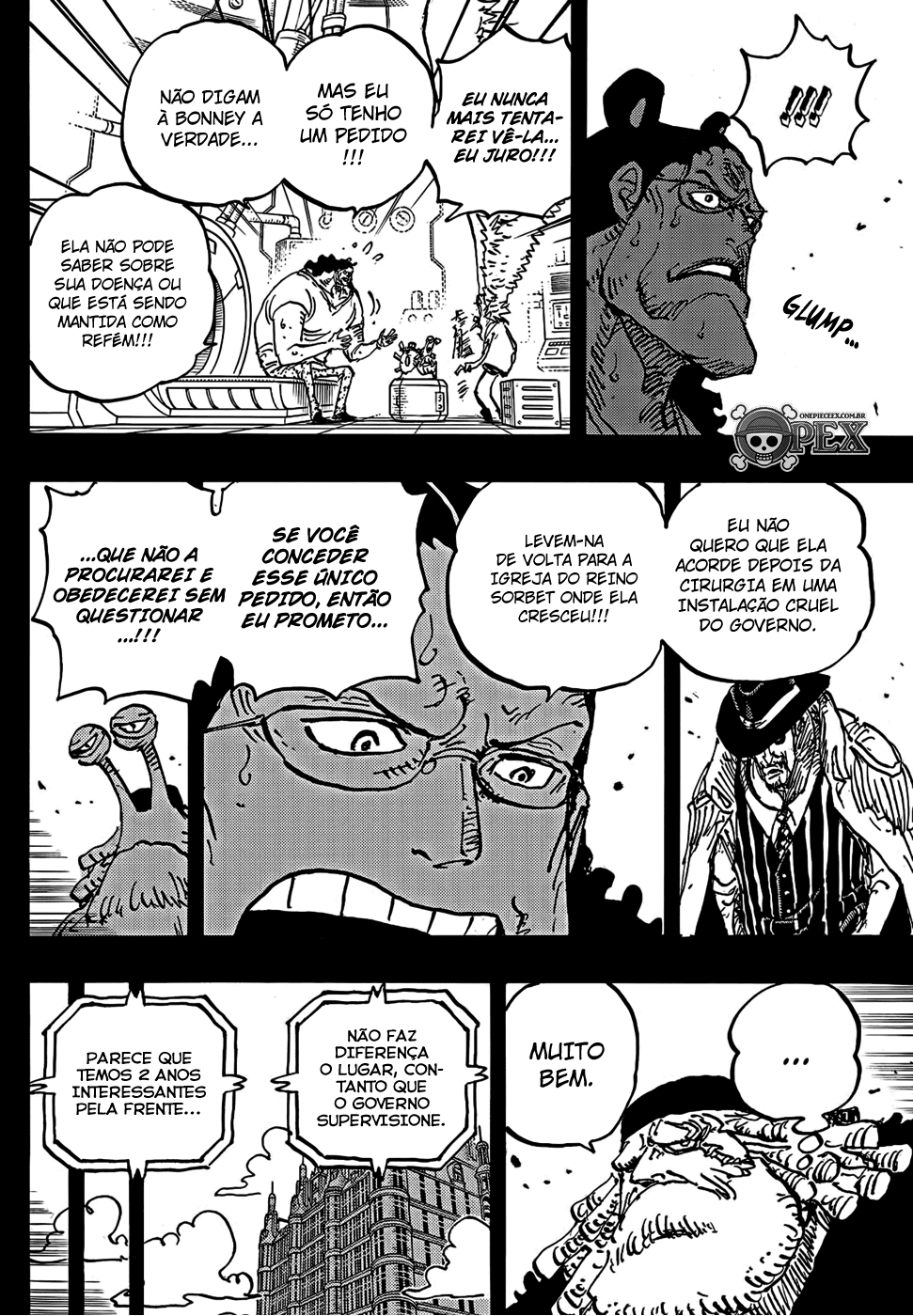 One Piece capítulo 1100 página 8