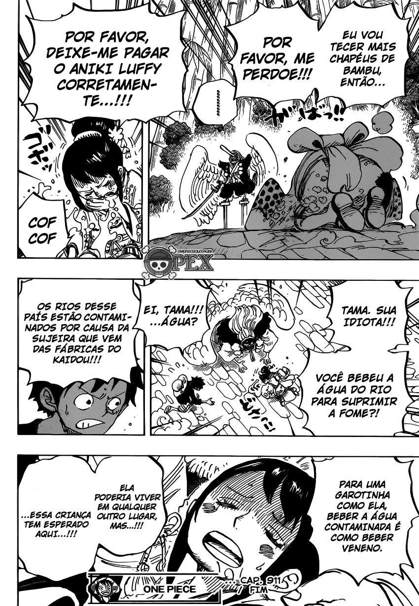 One Piece capítulo 911 página 17