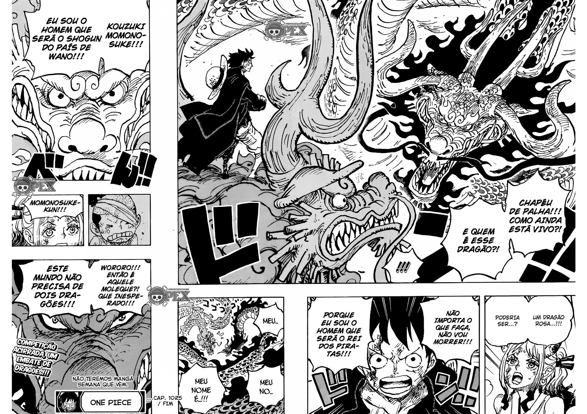 One Piece capítulo 1025 página 15