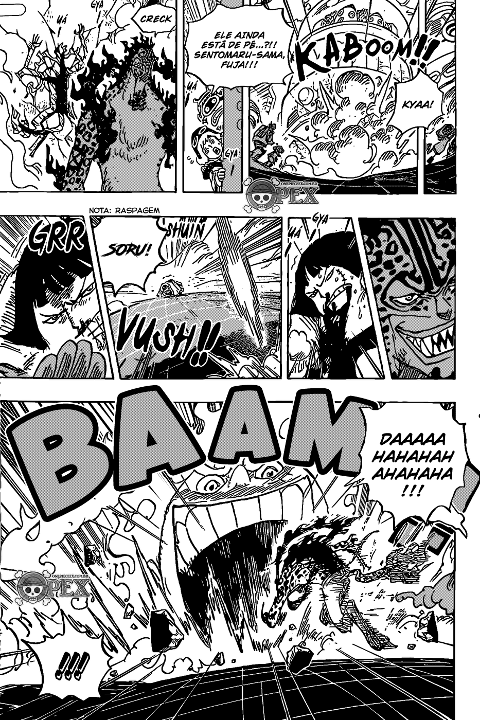 One Piece capítulo 1070 página 9