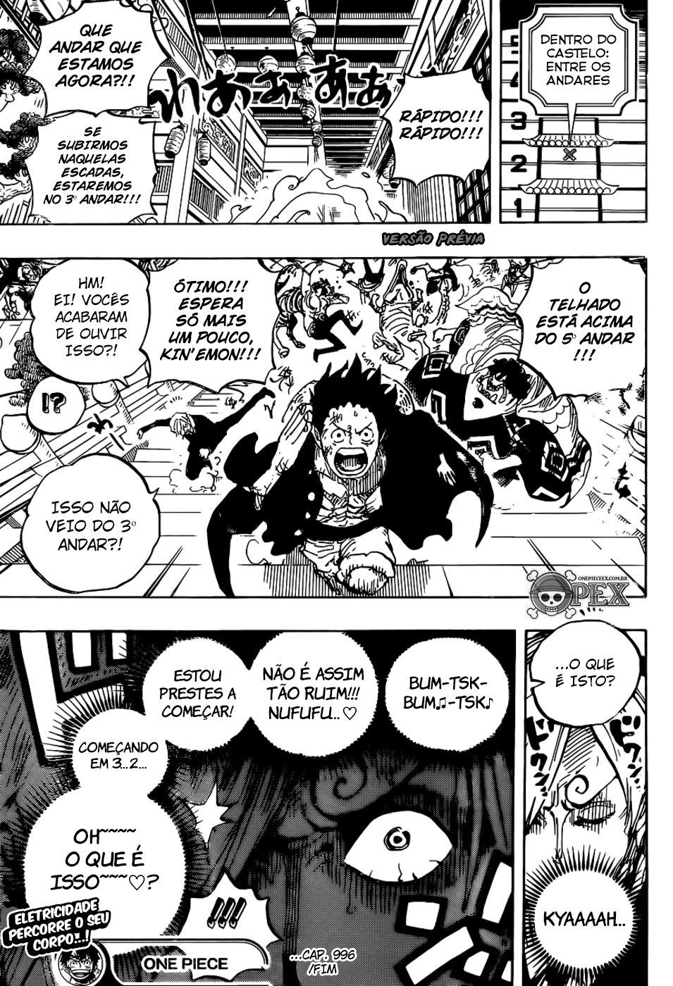 One Piece capítulo 996 página 17