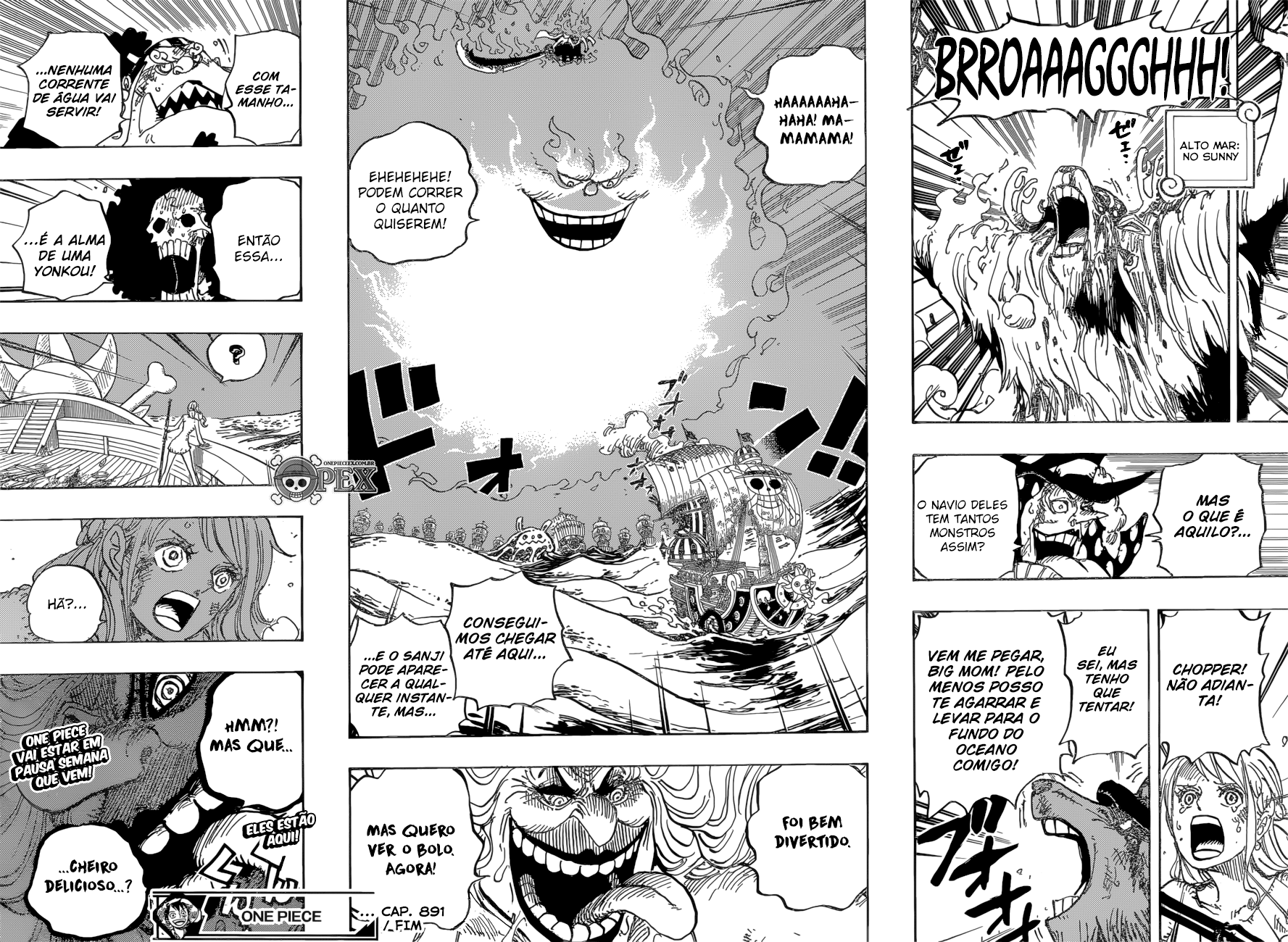 One Piece capítulo 891 página 16