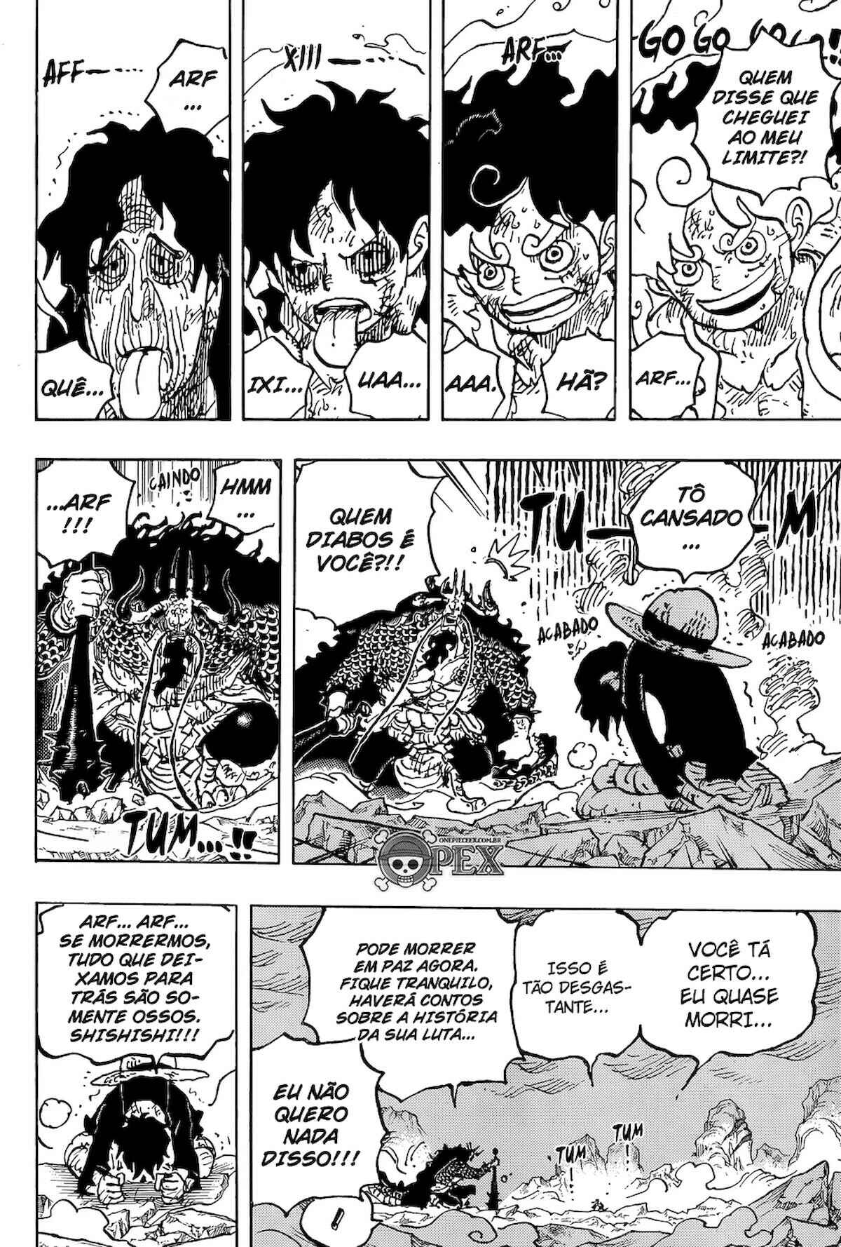 One Piece capítulo 1045 página 13