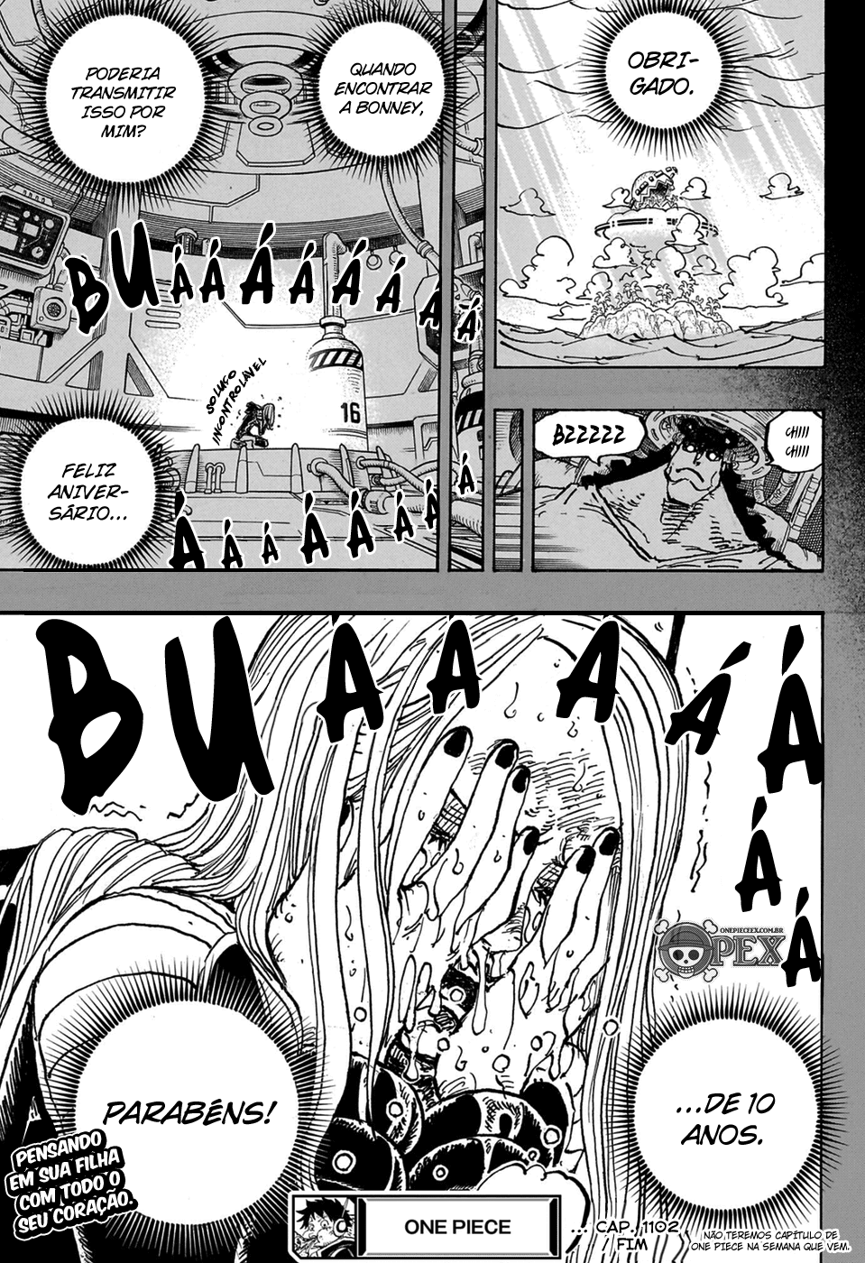 One Piece capítulo 1102 página 17