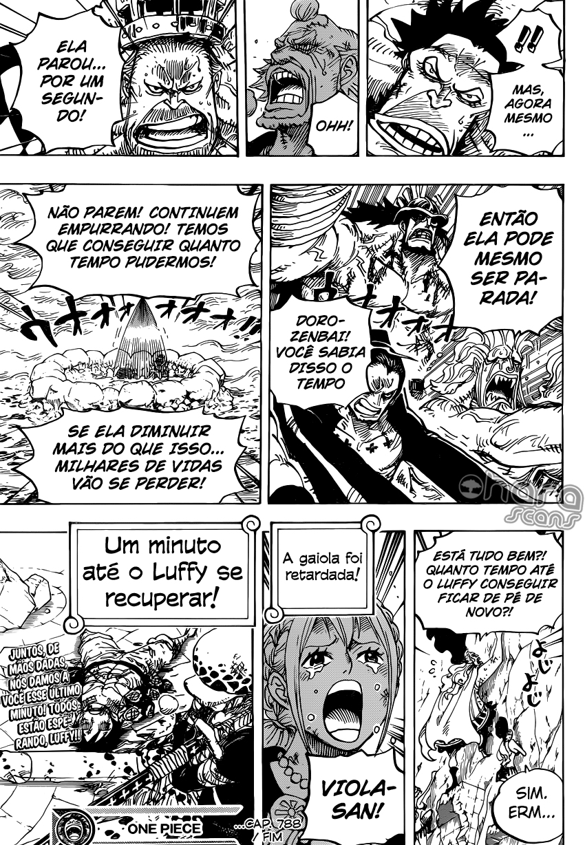 One Piece capítulo 788 página 17