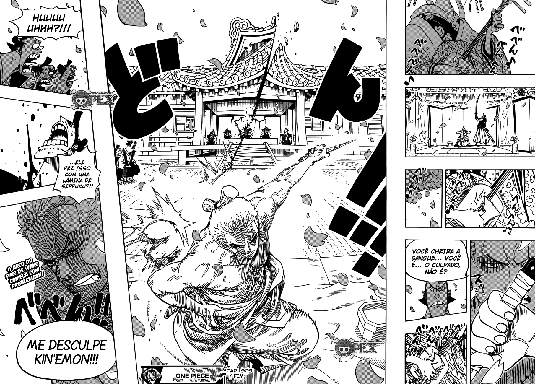 One Piece capítulo 909 página 16