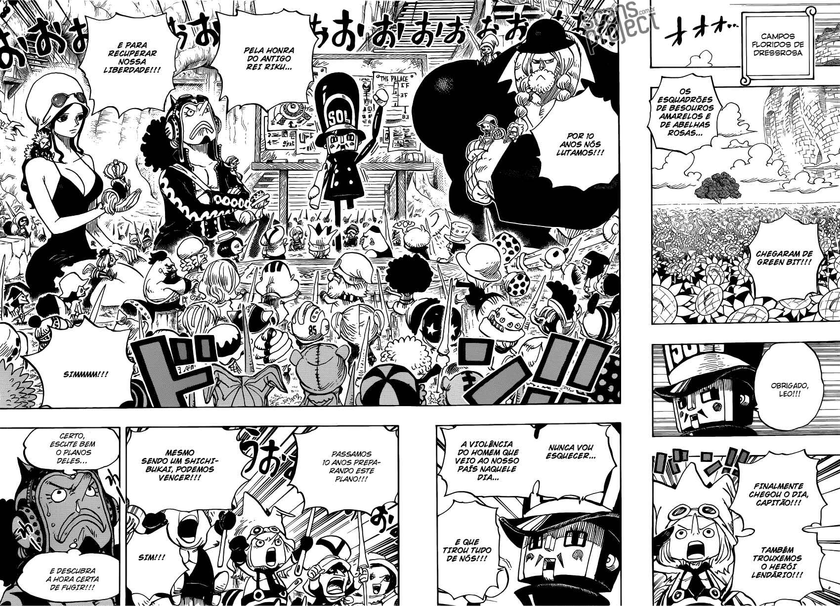 One Piece capítulo 722 página 11
