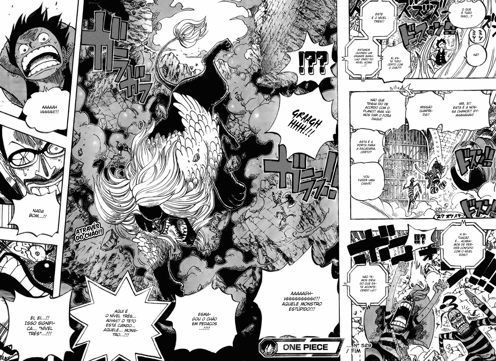 One Piece capítulo 529 página 17