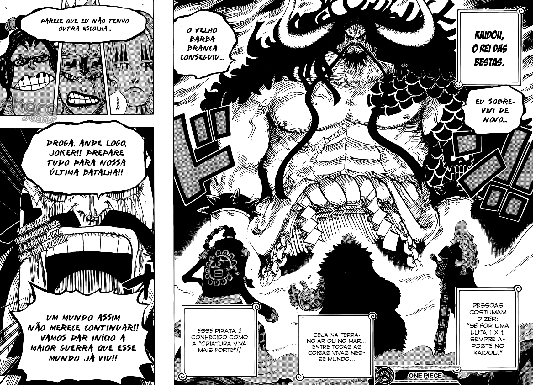 One Piece capítulo 795 página 18
