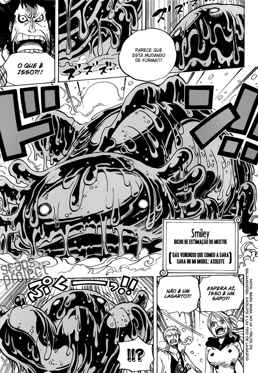 One Piece capítulo 673 página 10