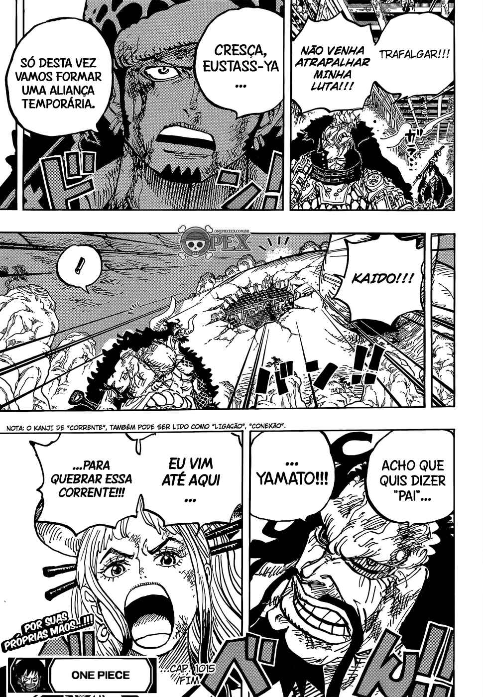 One Piece capítulo 1015 página 15