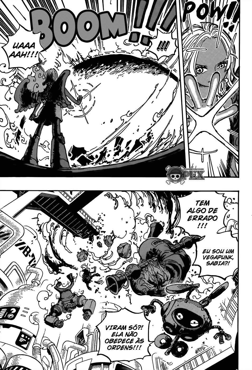 One Piece capítulo 1075 página 11
