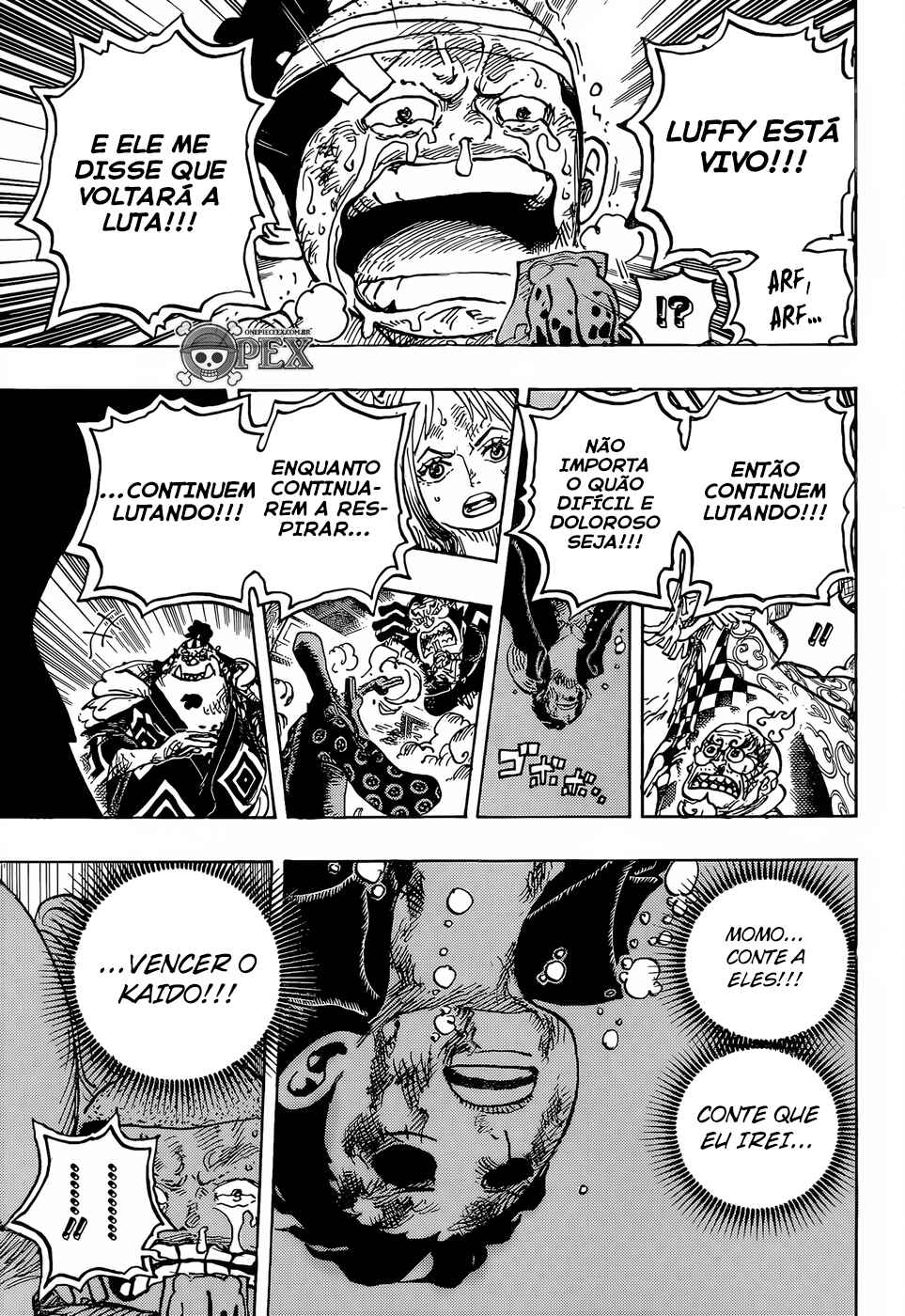 One Piece capítulo 1015 página 12