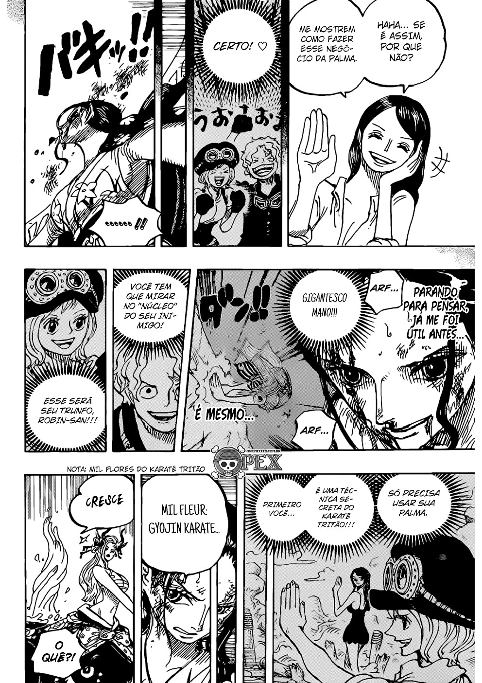 One Piece capítulo 1021 página 11