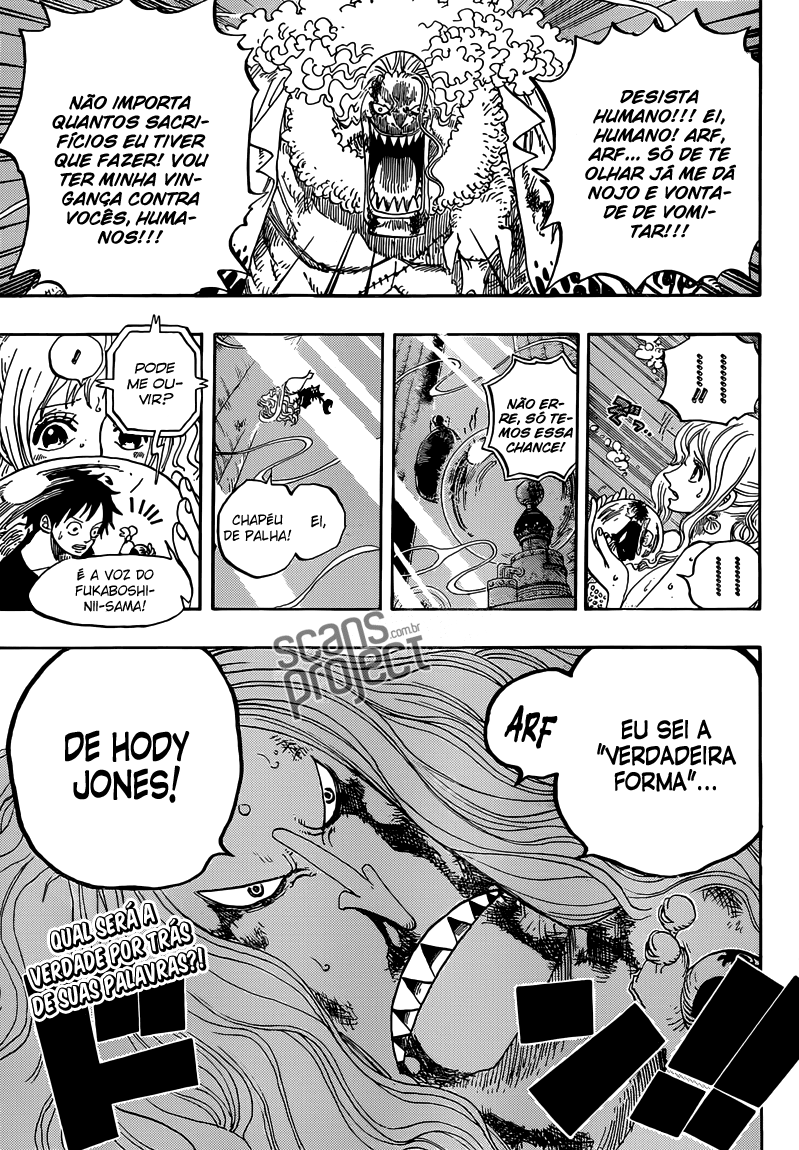 One Piece capítulo 641 página 20