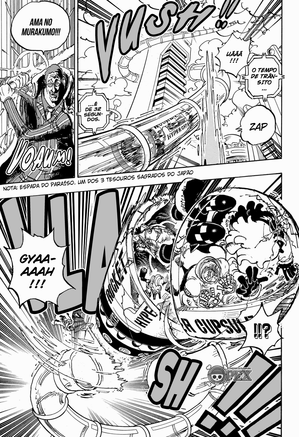 One Piece capítulo 1105 página 9