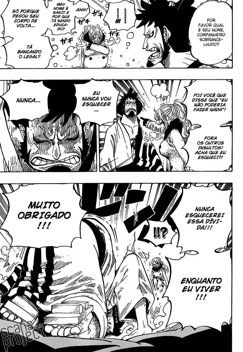 One Piece capítulo 672 página 16