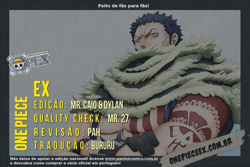One Piece capítulo 875 página 17
