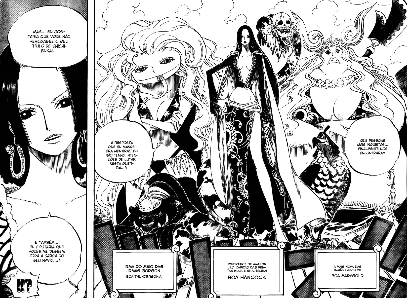 One Piece capítulo 516 página 11
