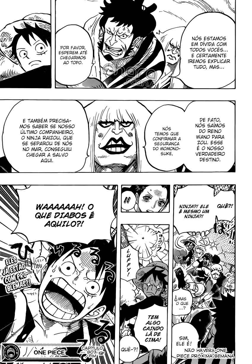 One Piece capítulo 803 página 15