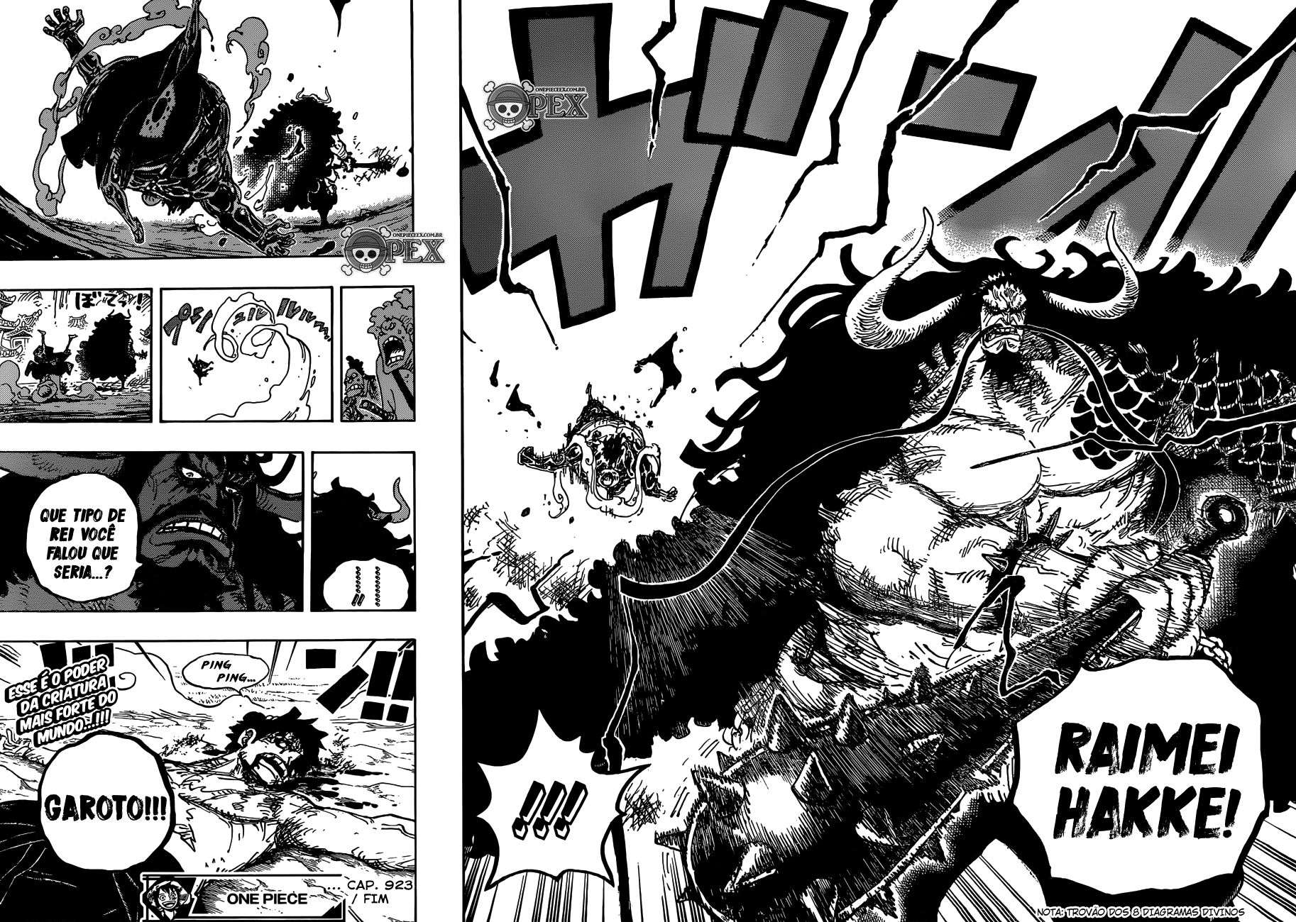 One Piece capítulo 923 página 13