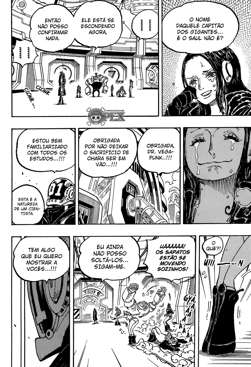 One Piece capítulo 1066 página 13