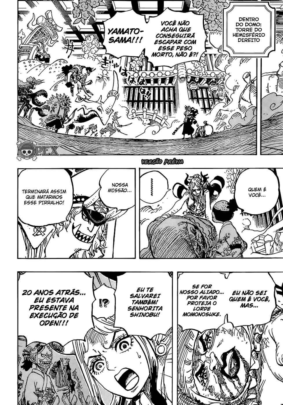 One Piece capítulo 994 página 13