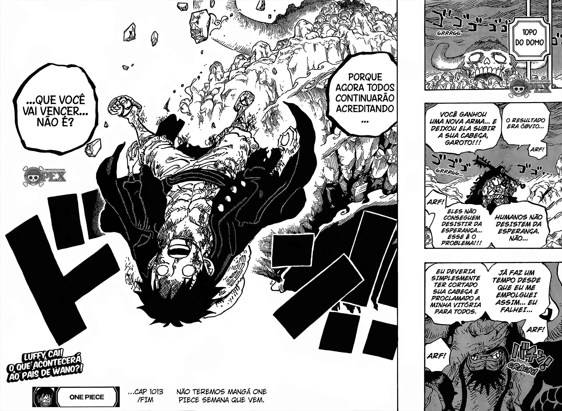 One Piece capítulo 1013 página 14
