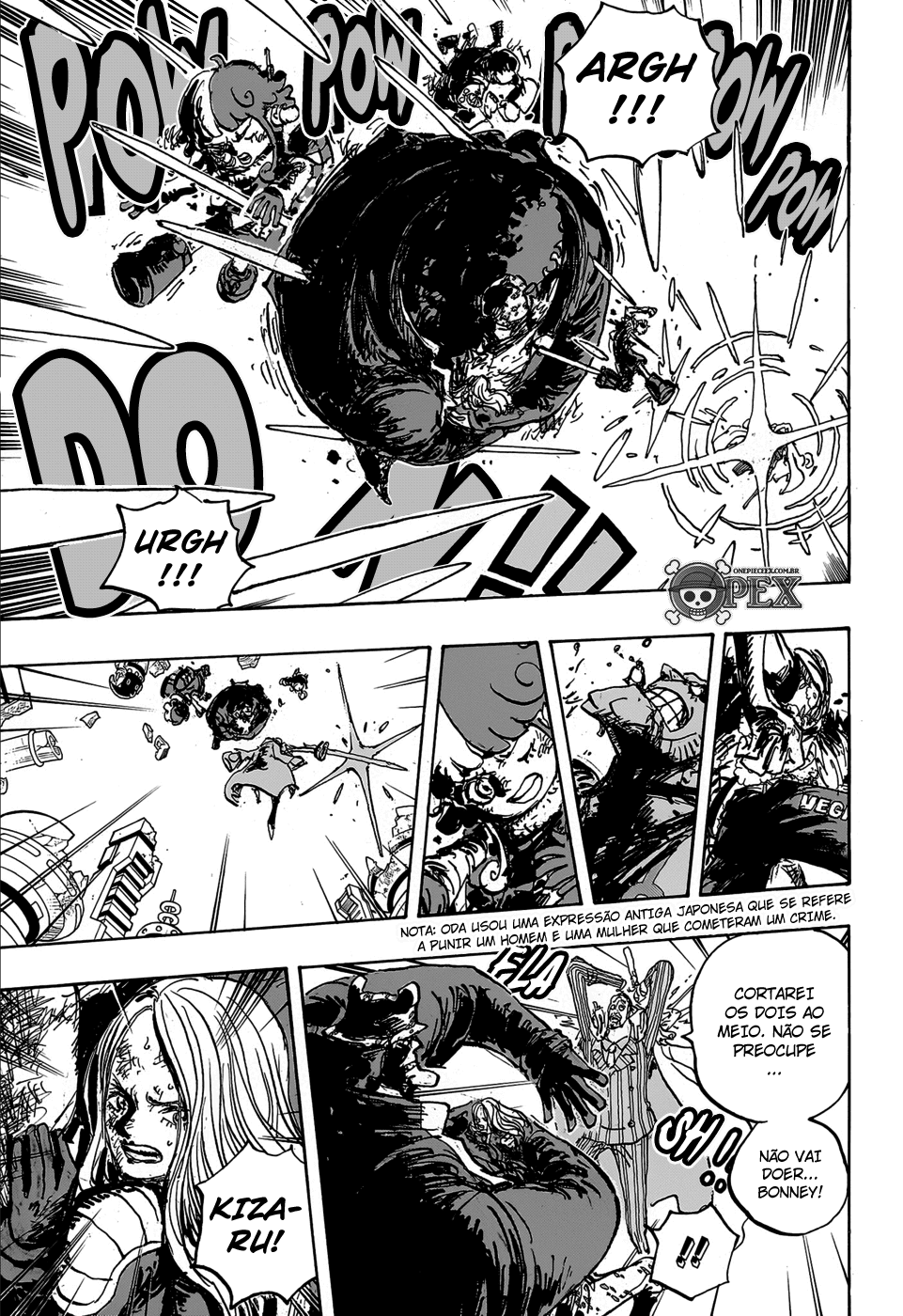 One Piece capítulo 1106 página 9