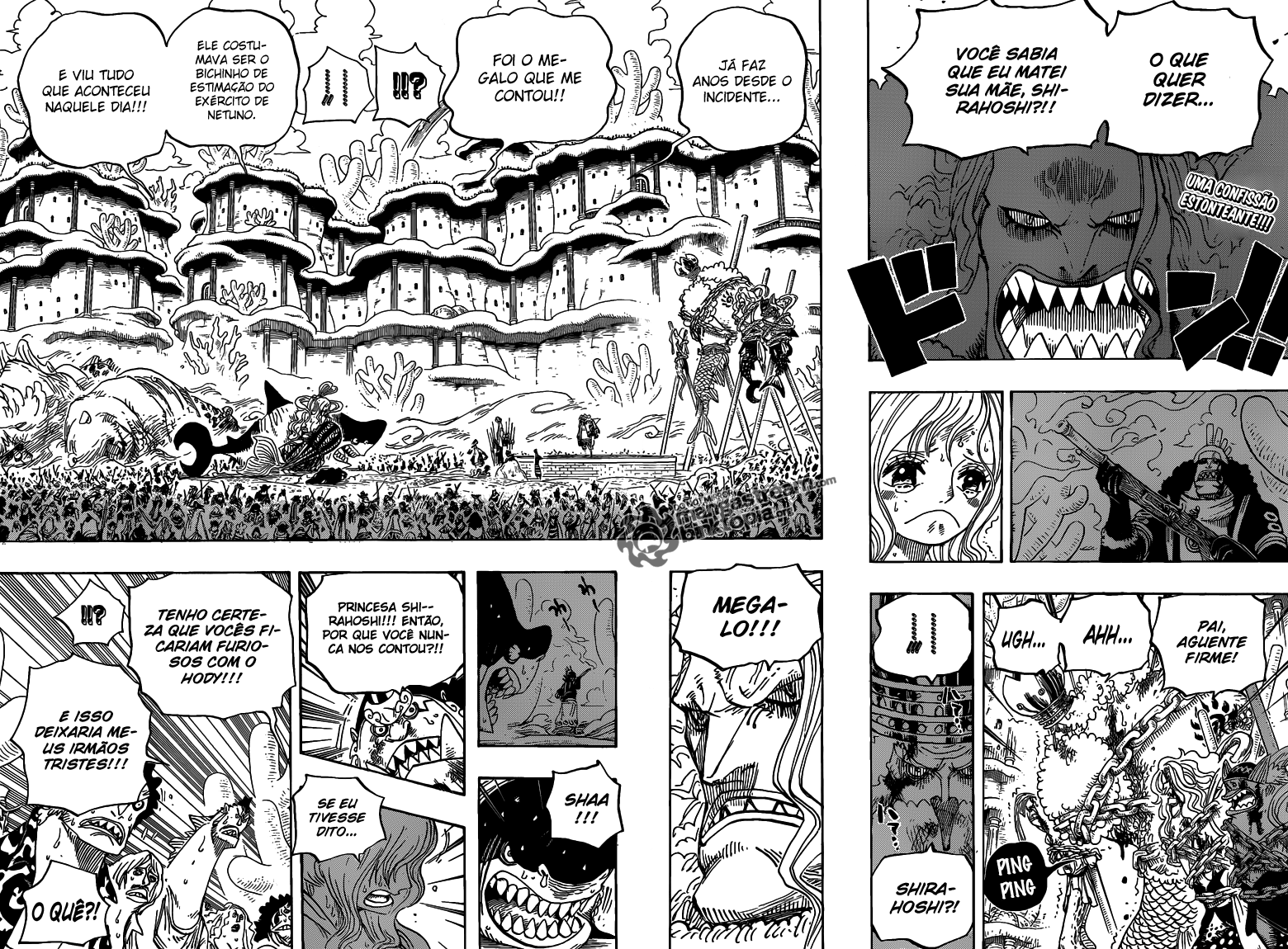 One Piece capítulo 633 página 3