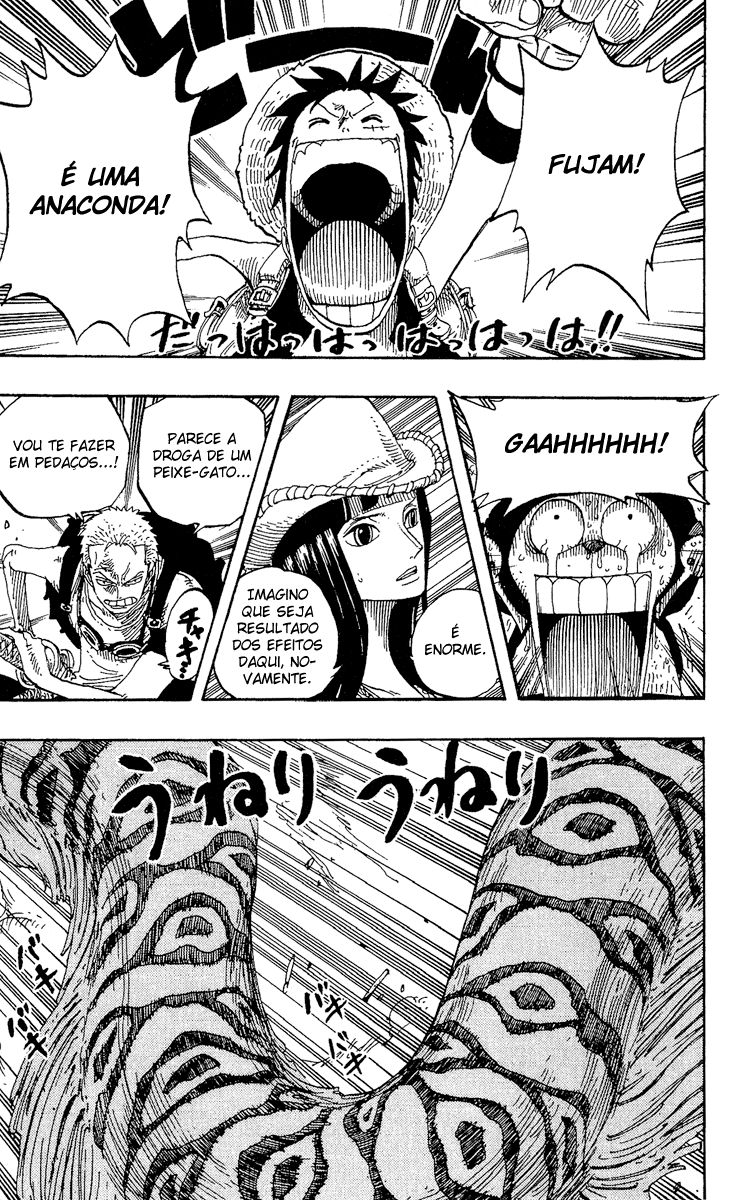 One Piece capítulo 255 página 13