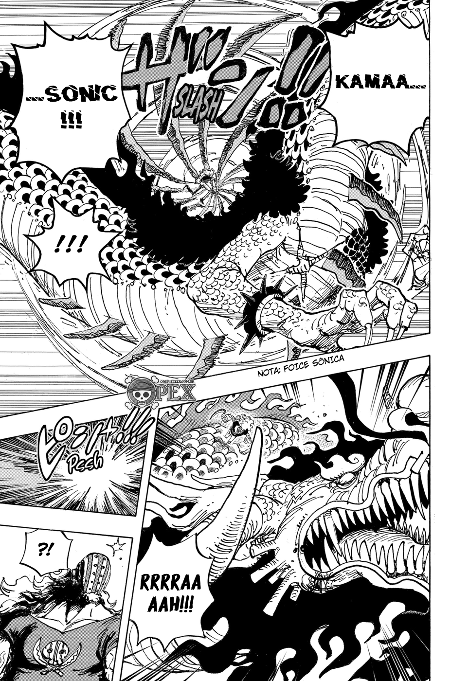 One Piece capítulo 1002 página 7