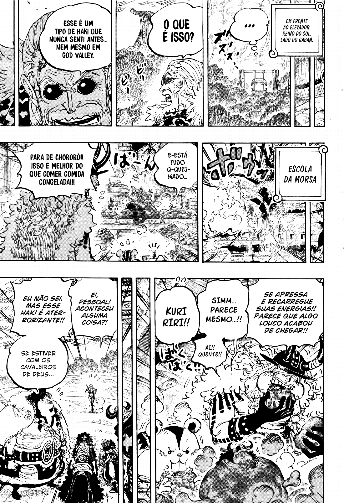 One Piece capítulo 1180 página 13