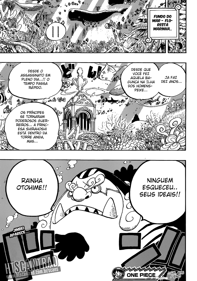 One Piece capítulo 615 página 17
