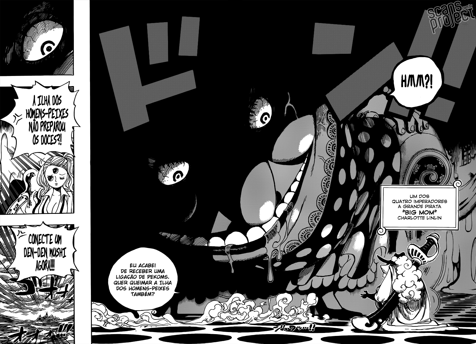 One Piece capítulo 651 página 13