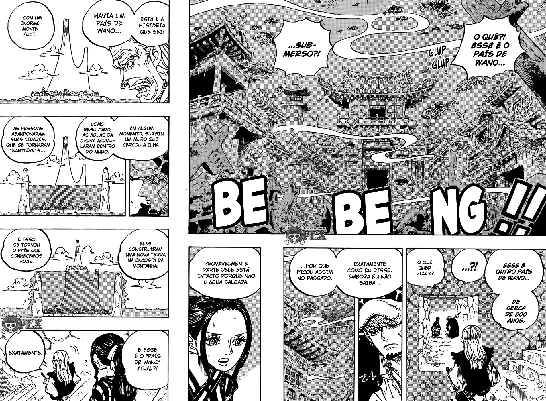 One Piece capítulo 1055 página 9