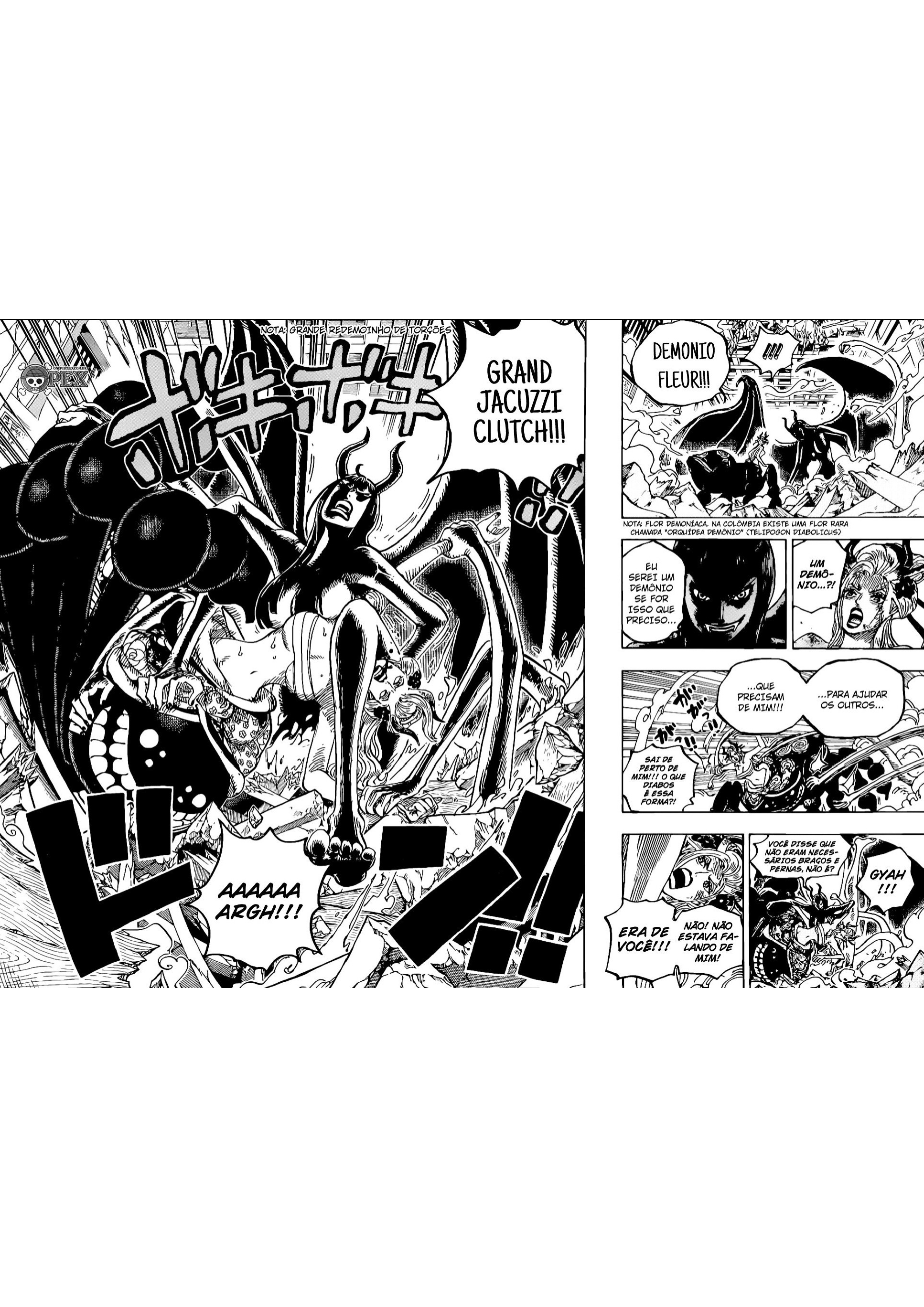 One Piece capítulo 1021 página 13
