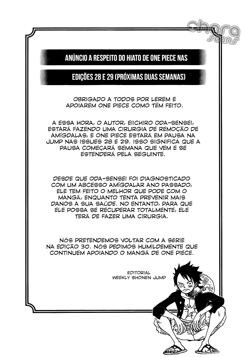 One Piece capítulo 749 página 17