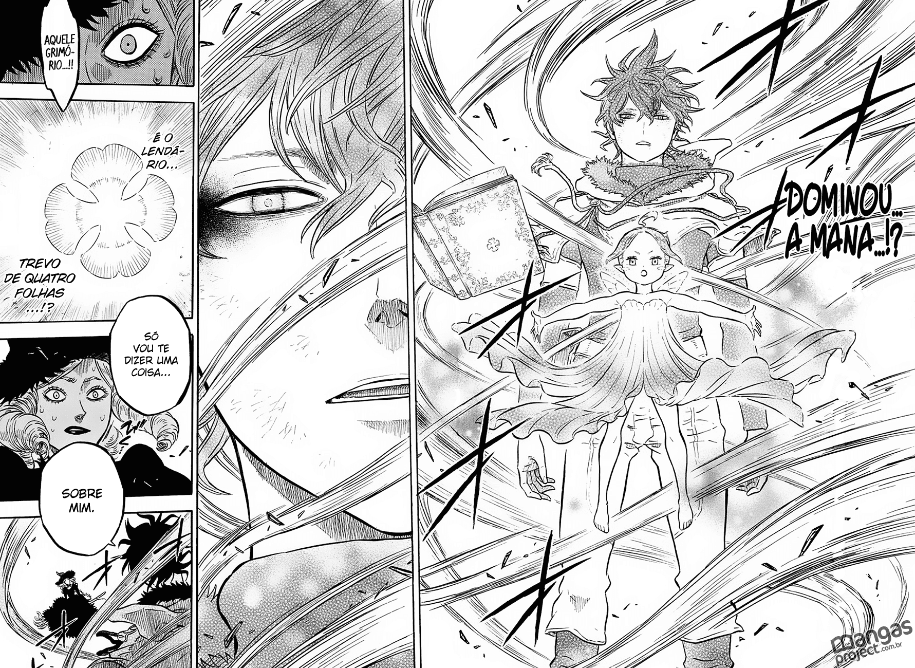 Black Clover capítulo 29 página 17