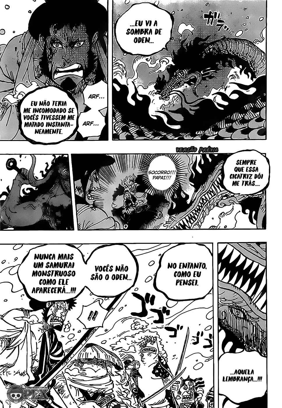 One Piece capítulo 993 página 14