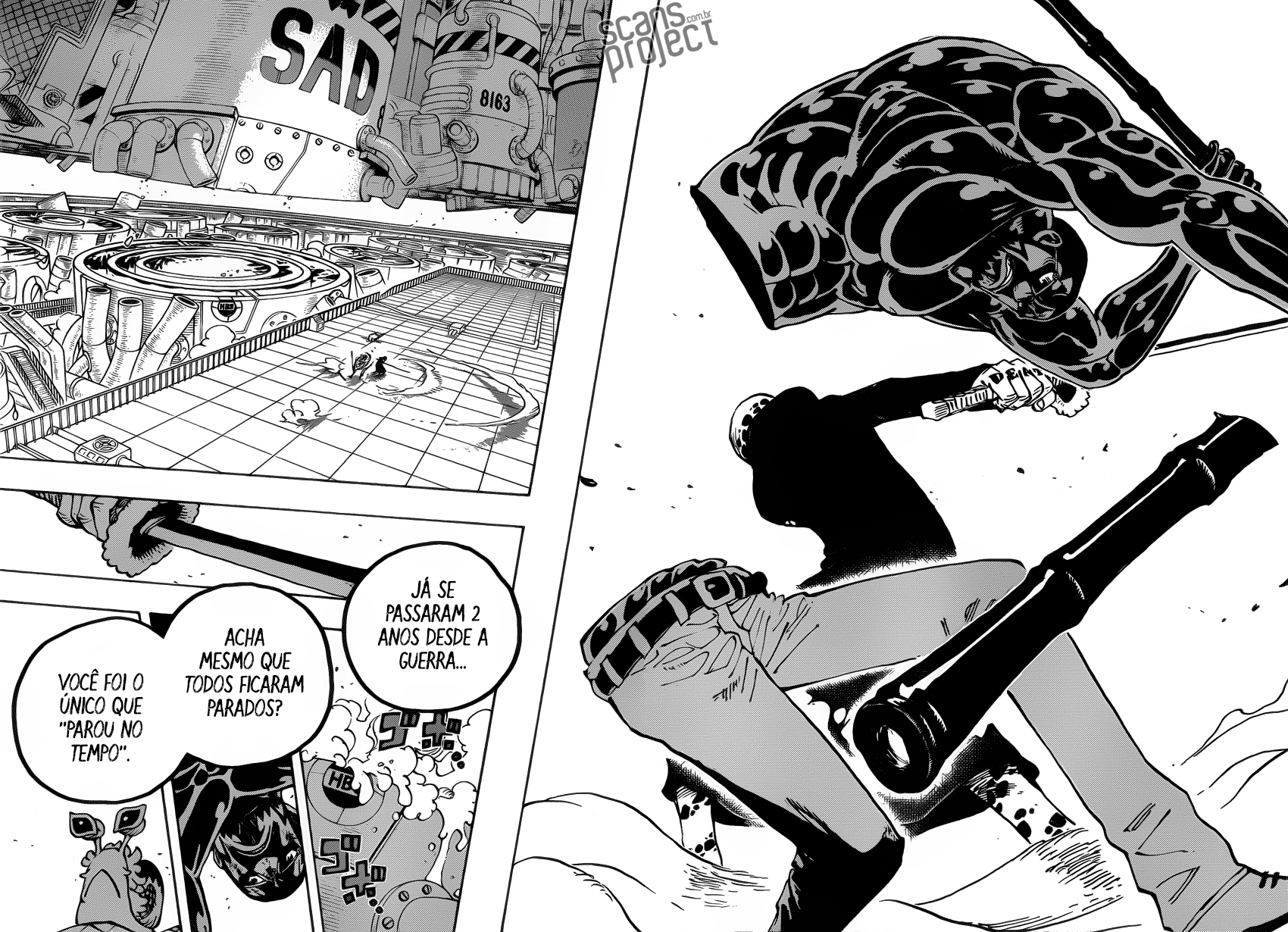 One Piece capítulo 690 página 17