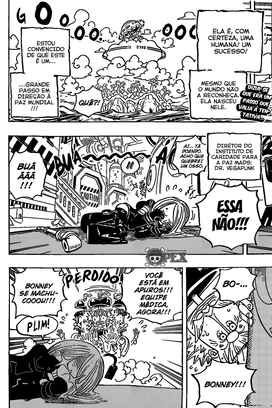 One Piece capítulo 1072 página 2