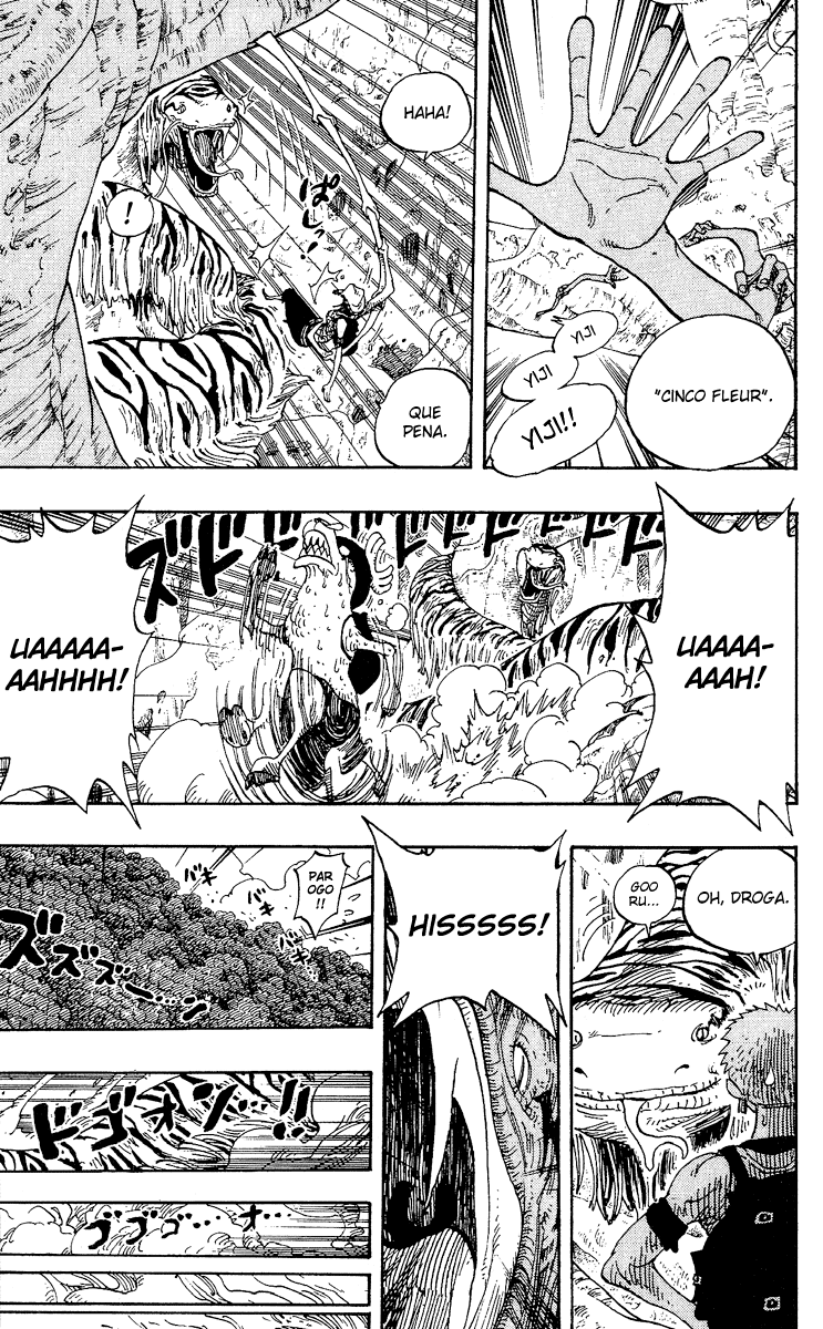 One Piece capítulo 255 página 17