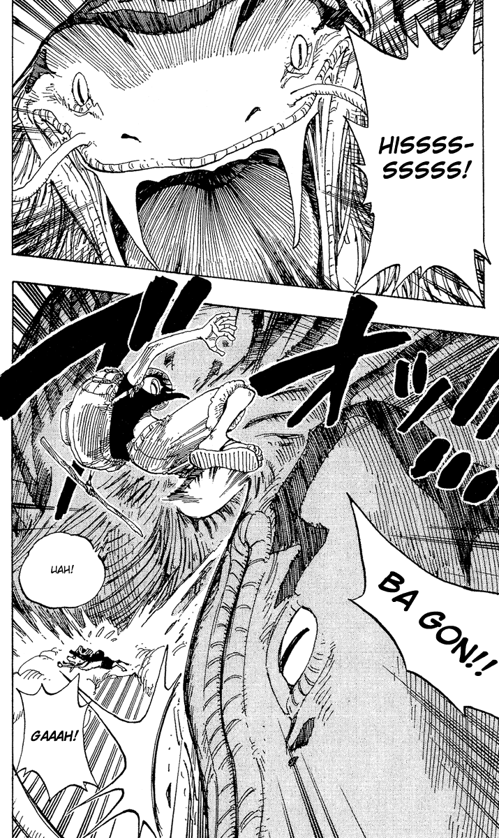 One Piece capítulo 255 página 14