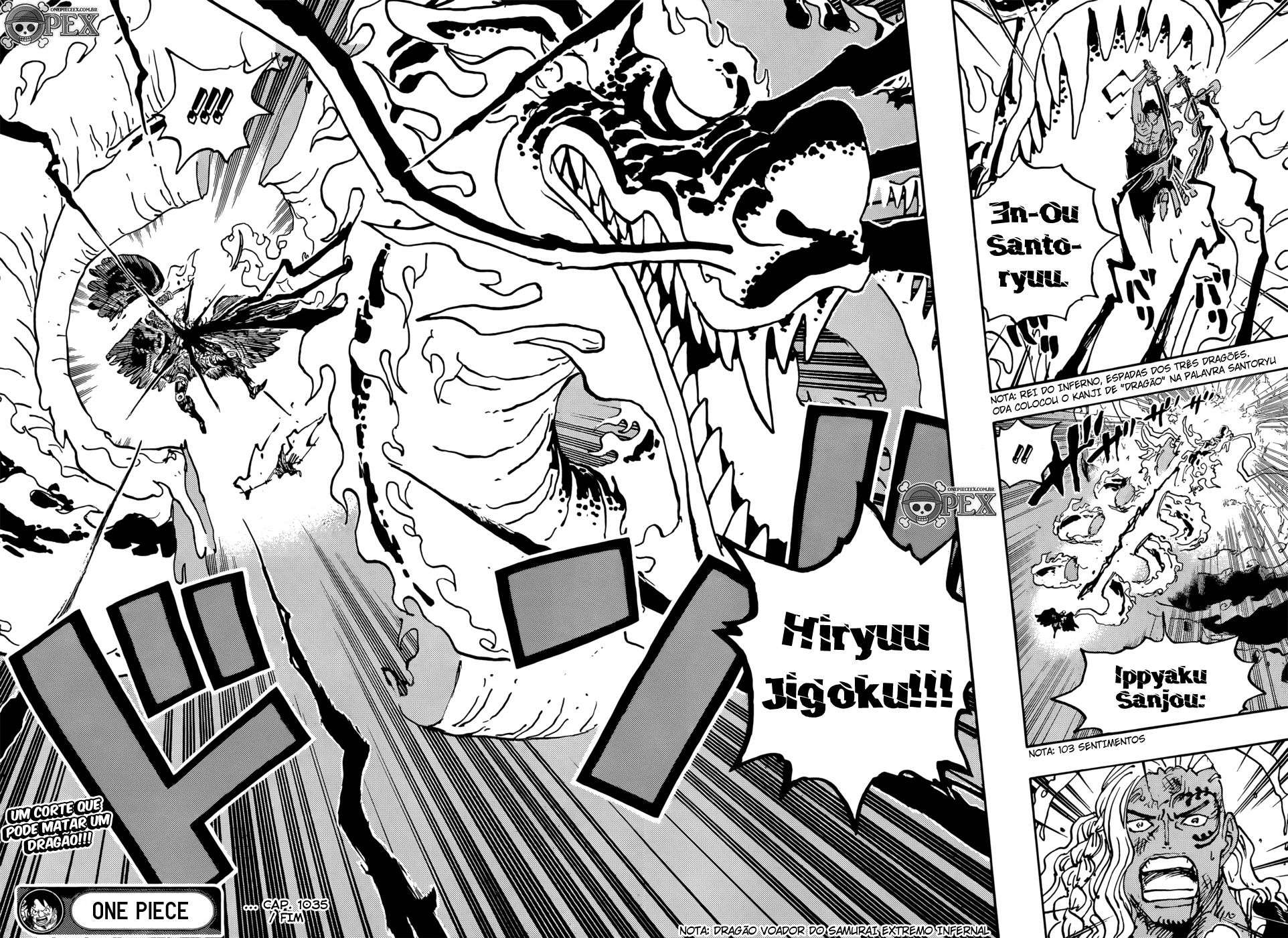 One Piece capítulo 1035 página 17