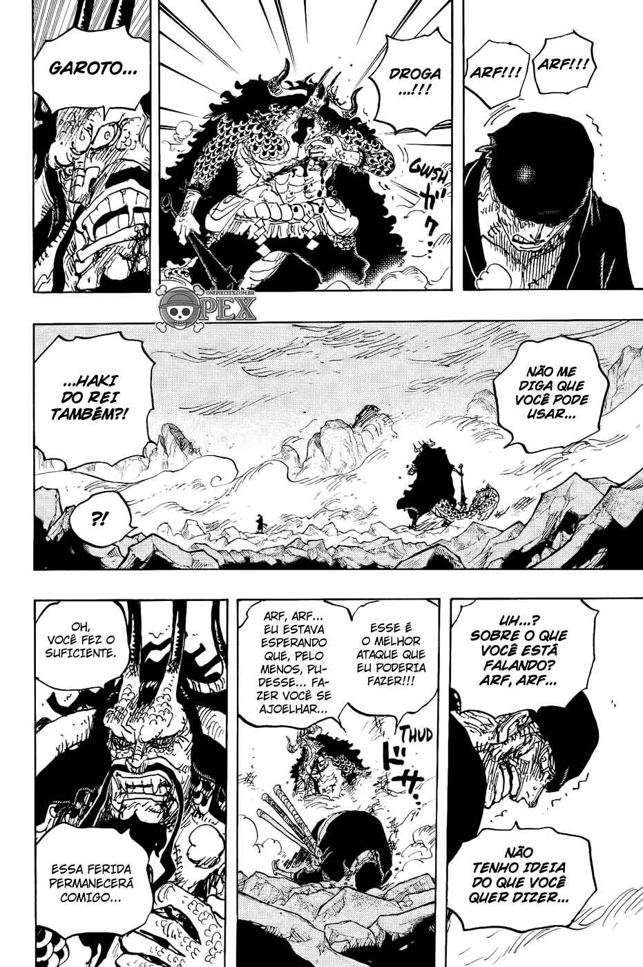 One Piece capítulo 1010 página 9